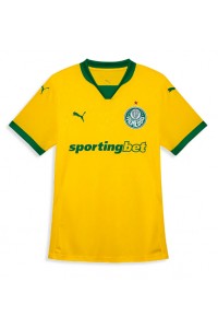 Fotbalové Dres Palmeiras Třetí Oblečení 2025-26 Krátký Rukáv